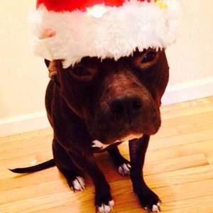 Meet your Posher, Cari-anna